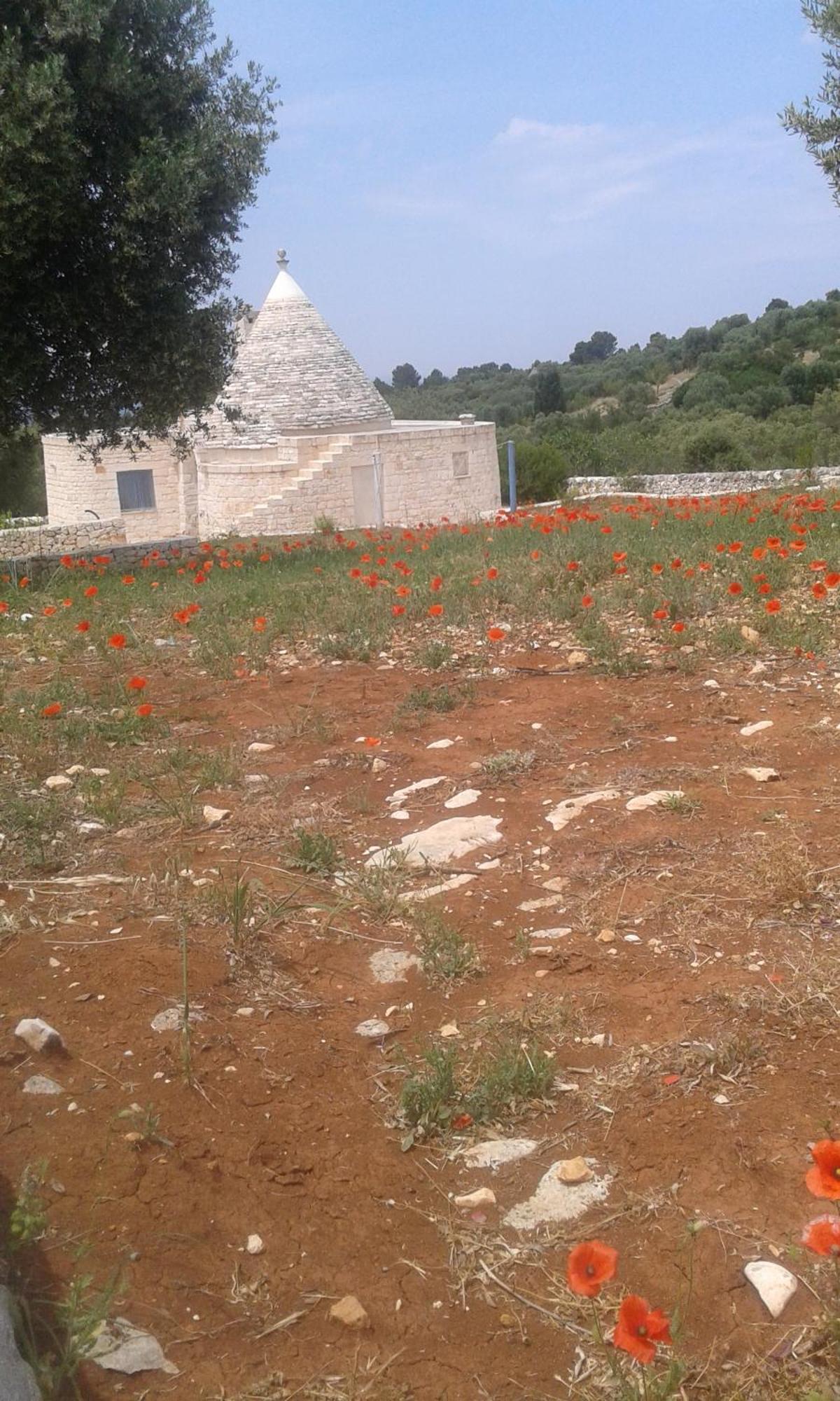 치스테르니노 Trullo Alto Salento 빌라 외부 사진